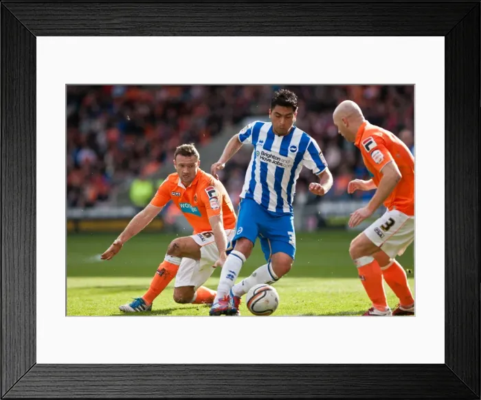 Framed Print : Brighton & Hove Albion vs. Blackpool: 2011-12 Away Game Highlights (Blackpool) Framed Print : Brighton & Hove Albion vs. Blackpool: 2011-12 Away Game Highlights (Blackpool)