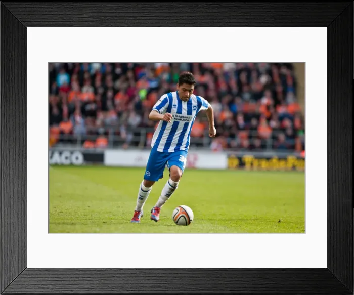 Framed Print : Brighton & Hove Albion vs. Blackpool: 2011-12 Away Game Highlights (March 19, 2012) Framed Print : Brighton & Hove Albion vs. Blackpool: 2011-12 Away Game Highlights (March 19, 2012)