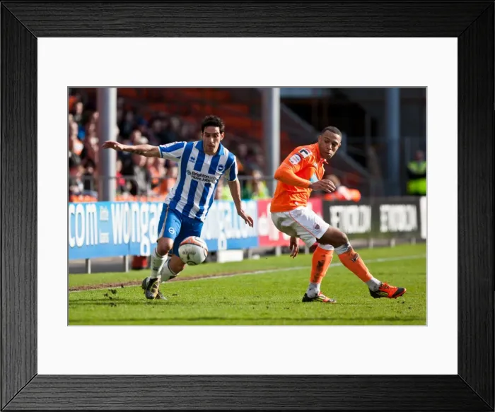 Framed Print : Brighton & Hove Albion at Blackpool (Away Game, 19-03-12) - Season 2011-12 Framed Print : Brighton & Hove Albion at Blackpool (Away Game, 19-03-12) - Season 2011-12