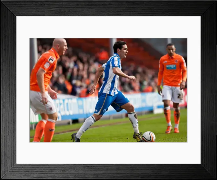 Framed Print : Brighton & Hove Albion vs. Blackpool (Away Game, 2011-12 Season, Match 19 - March 19, 2012) Framed Print : Brighton & Hove Albion vs. Blackpool (Away Game, 2011-12 Season, Match 19 - March 19, 2012)