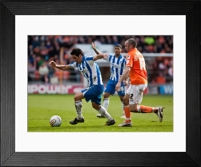 Framed Print : Brighton & Hove Albion vs. Blackpool (2011-12 Season): Away Game Highlights - March 19, 2012 Framed Print : Brighton & Hove Albion vs. Blackpool (2011-12 Season): Away Game Highlights - March 19, 2012