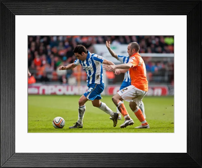 Framed Print : Brighton & Hove Albion vs. Blackpool: Away Game - March 19, 2012 (Season 2011-12) Framed Print : Brighton & Hove Albion vs. Blackpool: Away Game - March 19, 2012 (Season 2011-12)
