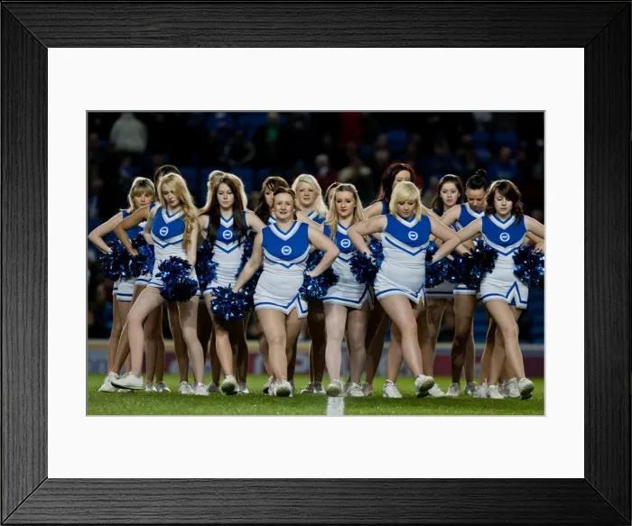 Framed Print : Brighton & Hove Albion vs. Derby County (2011-12): A Look Back at the Home Game Framed Print : Brighton & Hove Albion vs. Derby County (2011-12): A Look Back at the Home Game