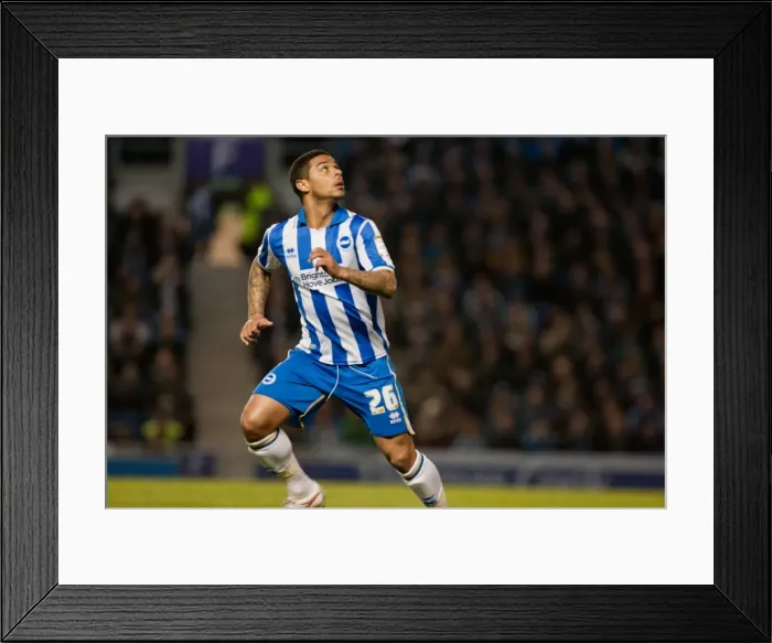 Framed Print : Brighton & Hove Albion vs. Derby County (2011-12): A Home Game Recap - March 20, 2012 Framed Print : Brighton & Hove Albion vs. Derby County (2011-12): A Home Game Recap - March 20, 2012