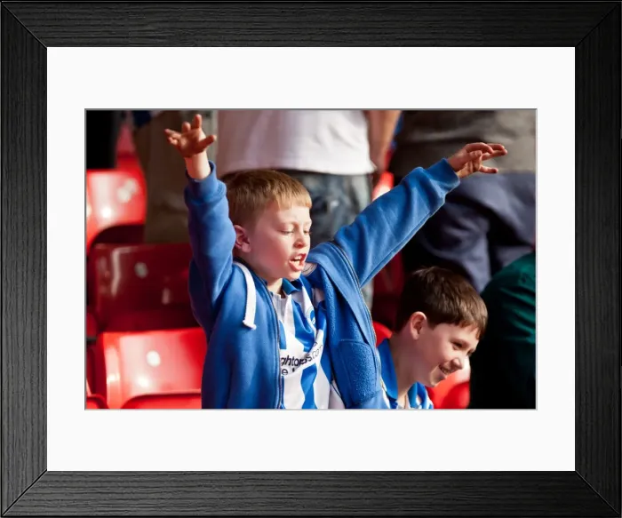 Framed Print : Brighton and Hove Albion Fans Unwavering Passion at Nottingham Forest Championship Match, March 2012 Framed Print : Brighton and Hove Albion Fans Unwavering Passion at Nottingham Forest Championship Match, March 2012