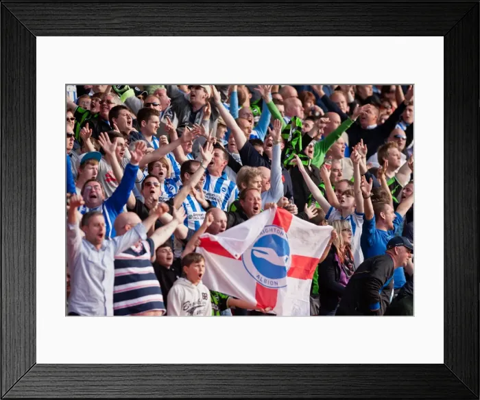 Framed Print : Brighton & Hove Albion Fans Celebrate Goal Against Nottingham Forest, Championship 2012 Framed Print : Brighton & Hove Albion Fans Celebrate Goal Against Nottingham Forest, Championship 2012
