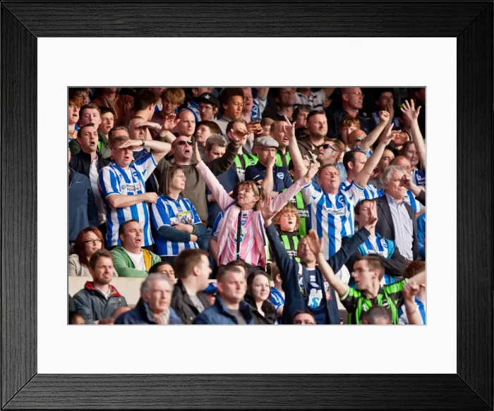 Framed Print : Brighton & Hove Albion Fans Goal Celebration vs Nottingham Forest, March 24, 2012 Framed Print : Brighton & Hove Albion Fans Goal Celebration vs Nottingham Forest, March 24, 2012
