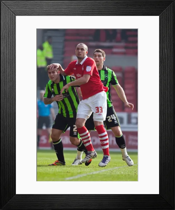 Framed Print : Brighton & Hove Albion's Joe Mattock and Joel Lynch in Action Against Nottingham Forest, 2012 Championship Clash Framed Print : Brighton & Hove Albion's Joe Mattock and Joel Lynch in Action Against Nottingham Forest, 2012 Championship Clash