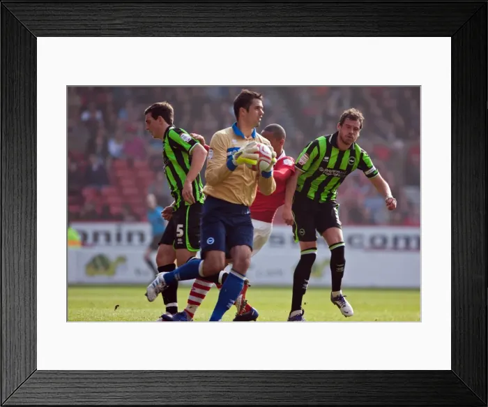 Framed Print : Brighton & Hove Albion's Peter Brezovan Faces Nottingham Forest in Championship Clash (24-03-2012) Framed Print : Brighton & Hove Albion's Peter Brezovan Faces Nottingham Forest in Championship Clash (24-03-2012)