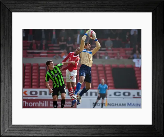 Framed Print : Brighton & Hove Albion's Peter Brezovan in Championship Showdown Against Nottingham Forest (24-03-2012) Framed Print : Brighton & Hove Albion's Peter Brezovan in Championship Showdown Against Nottingham Forest (24-03-2012)