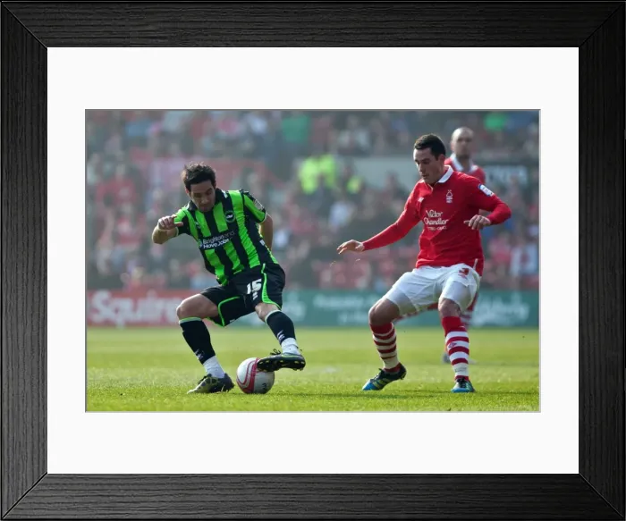 Framed Print : Vicente's Showdown: Brighton & Hove Albion vs. Nottingham Forest in Championship Clash (March 24, 2012) Framed Print : Vicente's Showdown: Brighton & Hove Albion vs. Nottingham Forest in Championship Clash (March 24, 2012)