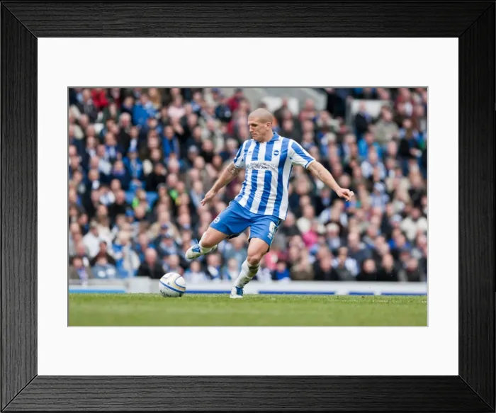 Framed Print : Brighton & Hove Albion vs Middlesbrough: Adam El-Abd Focused Amex Stadium, March 31, 2012 Framed Print : Brighton & Hove Albion vs Middlesbrough: Adam El-Abd Focused Amex Stadium, March 31, 2012