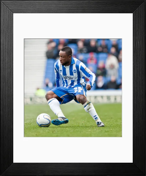 Framed Print : Brighton & Hove Albion vs. Middlesbrough: Home Game - March 2012 Framed Print : Brighton & Hove Albion vs. Middlesbrough: Home Game - March 2012