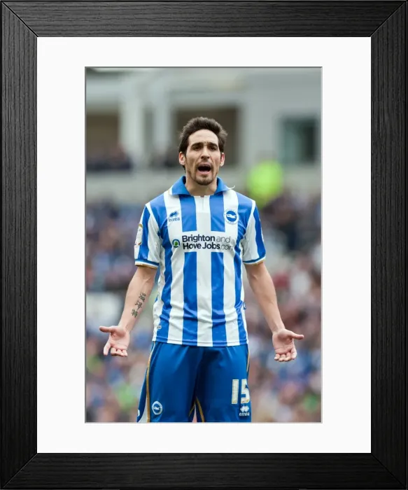 Framed Print : Brighton & Hove Albion vs. Middlesbrough: Home Game - March 2012