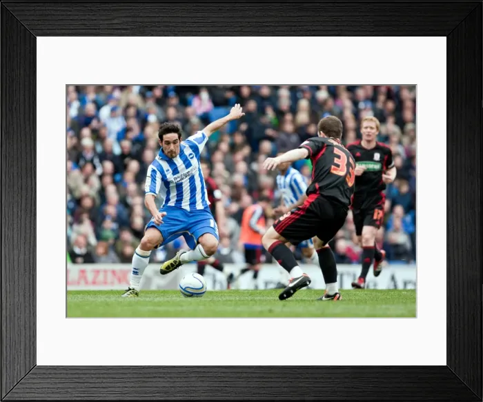 Framed Print : Brighton & Hove Albion: Reliving the Excitement of the 2011-12 Season - Home Game vs. Middlesbrough (31-03-2012) Framed Print : Brighton & Hove Albion: Reliving the Excitement of the 2011-12 Season - Home Game vs. Middlesbrough (31-03-2012)