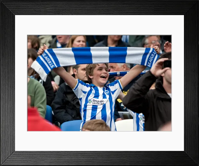 Framed Print : Brighton & Hove Albion vs. Middlesbrough (31-03-2012): A Nostalgic Look Back at the 2011-12 Home Season - Middlesbrough Game Framed Print : Brighton & Hove Albion vs. Middlesbrough (31-03-2012): A Nostalgic Look Back at the 2011-12 Home Season - Middlesbrough Game