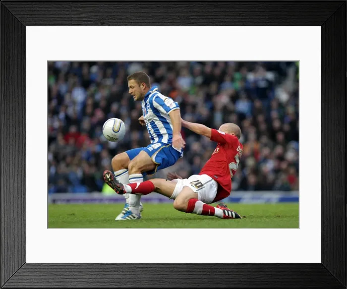 Framed Print : Brighton & Hove Albion vs Barnsley (2011-12): A Memorable Home Victory Framed Print : Brighton & Hove Albion vs Barnsley (2011-12): A Memorable Home Victory