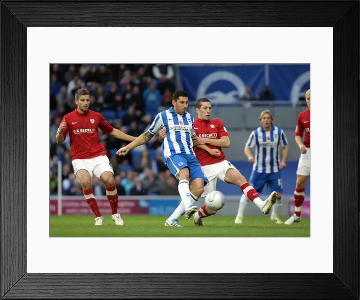 Framed Print : Brighton & Hove Albion vs Barnsley (2011-12): Home Game Highlights Framed Print : Brighton & Hove Albion vs Barnsley (2011-12): Home Game Highlights