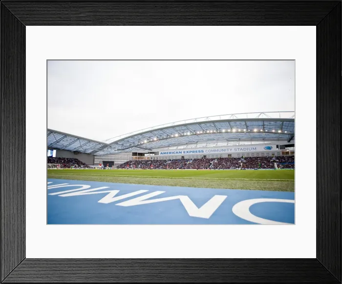 Framed Print : Brighton & Hove Albion vs Barnsley (2011-12): Home Game Highlights Framed Print : Brighton & Hove Albion vs Barnsley (2011-12): Home Game Highlights