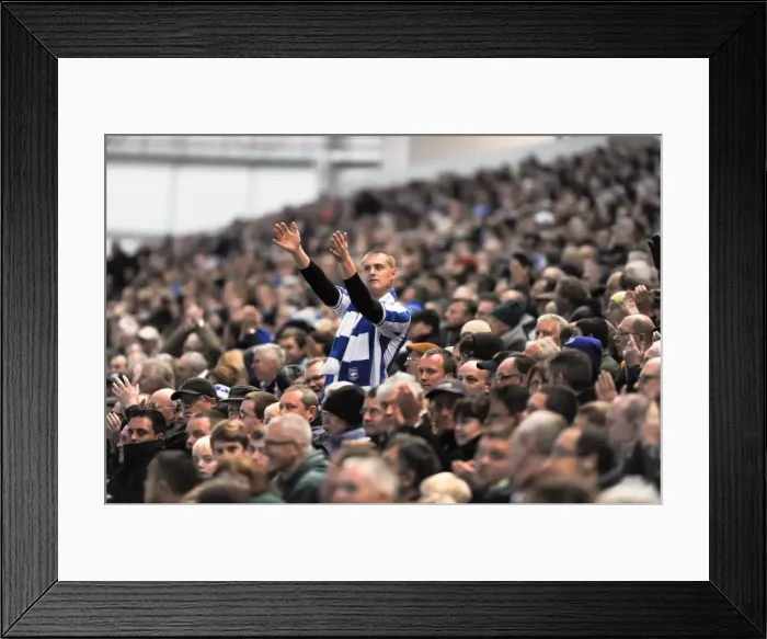 Framed Print : Brighton & Hove Albion vs Barnsley (2011-12): Home Game Highlights Framed Print : Brighton & Hove Albion vs Barnsley (2011-12): Home Game Highlights