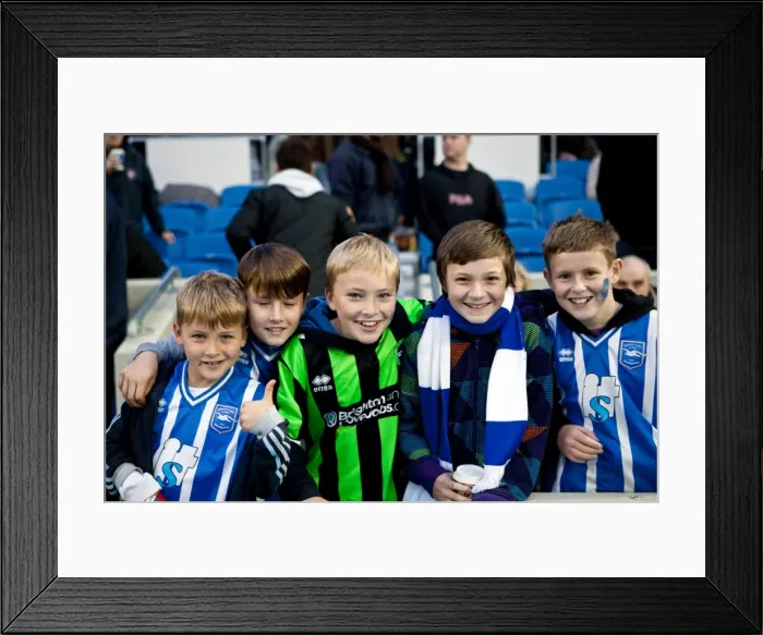 Framed Print : Brighton & Hove Albion vs Barnsley (2011-12): Home Game Highlights Framed Print : Brighton & Hove Albion vs Barnsley (2011-12): Home Game Highlights