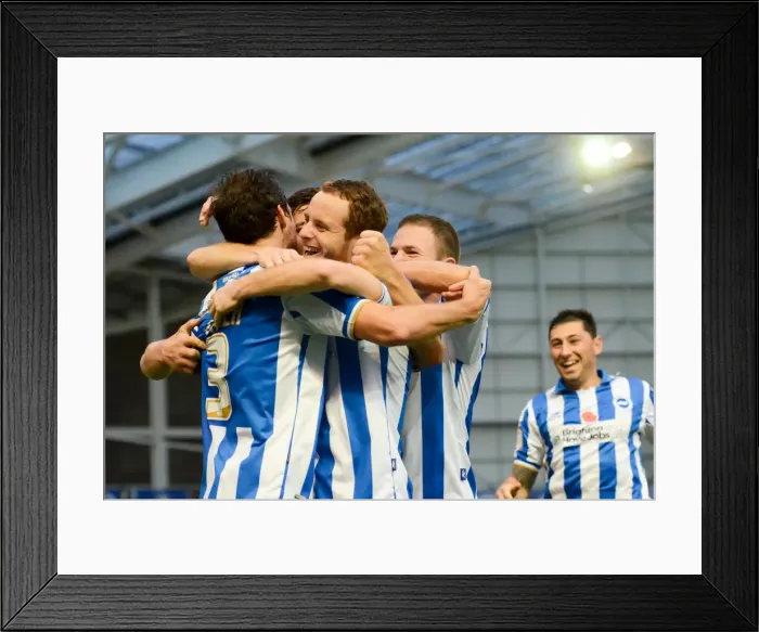 Framed Print : Brighton & Hove Albion 2011-12: Home Game vs Barnsley (Nov 6) Framed Print : Brighton & Hove Albion 2011-12: Home Game vs Barnsley (Nov 6)