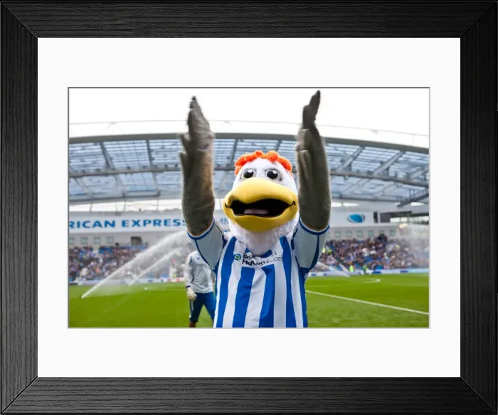 Framed Print : Brighton & Hove Albion vs Barnsley (2011-12): Home Game Highlights Framed Print : Brighton & Hove Albion vs Barnsley (2011-12): Home Game Highlights