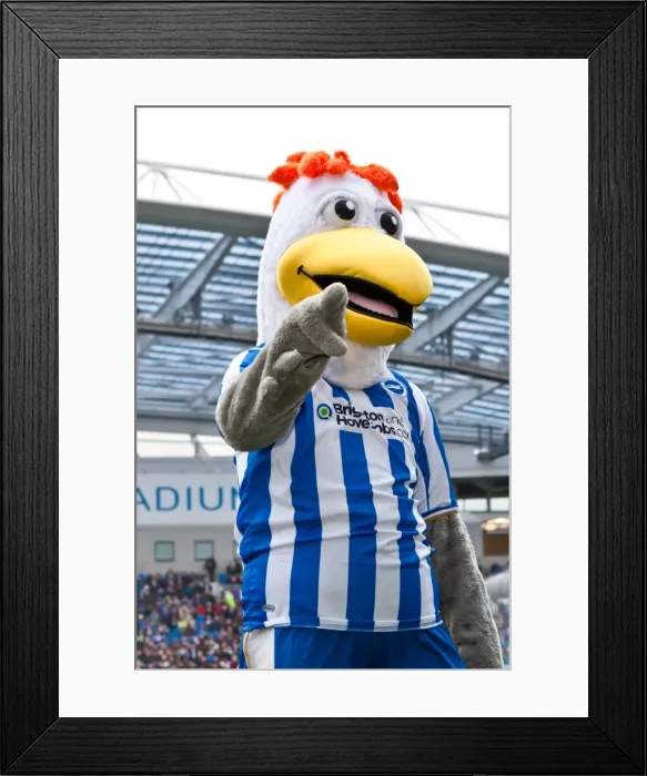 Framed Print : Brighton & Hove Albion vs Barnsley (2011-12): Home Game Highlights - Barnsley (06-11-11) Framed Print : Brighton & Hove Albion vs Barnsley (2011-12): Home Game Highlights - Barnsley (06-11-11)