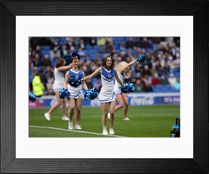 Framed Print : Brighton & Hove Albion vs Barnsley (2011-12): Home Game Highlights Framed Print : Brighton & Hove Albion vs Barnsley (2011-12): Home Game Highlights