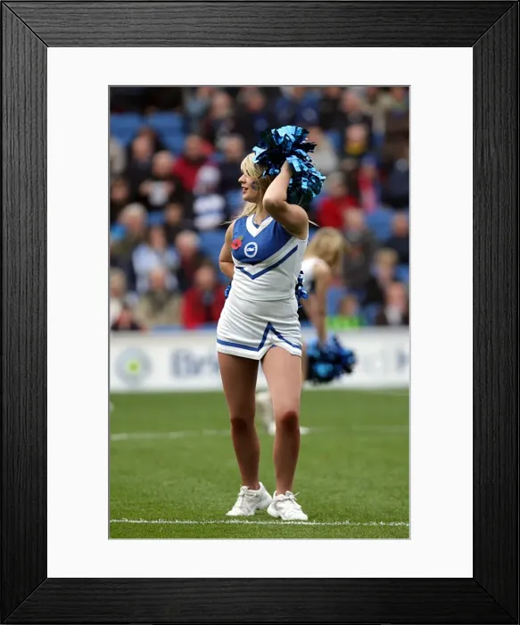 Framed Print : Memorable Home Victory: Brighton & Hove Albion vs Barnsley (Nov. 6, 2011) Framed Print : Memorable Home Victory: Brighton & Hove Albion vs Barnsley (Nov. 6, 2011)