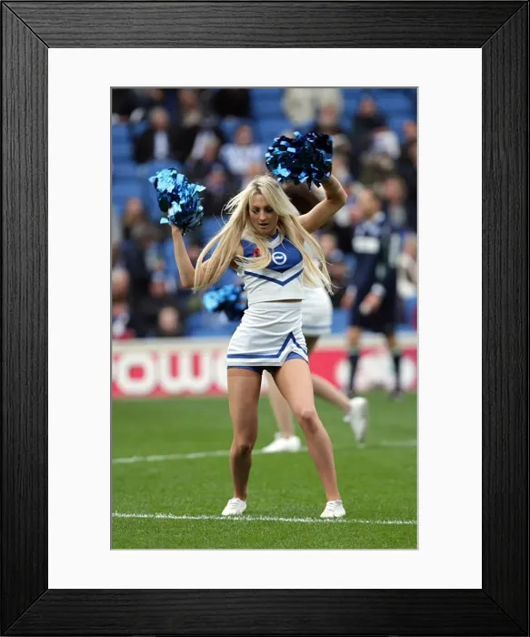 Framed Print : A Home Game to Remember: Brighton & Hove Albion vs Barnsley (2011-12 Season) Framed Print : A Home Game to Remember: Brighton & Hove Albion vs Barnsley (2011-12 Season)