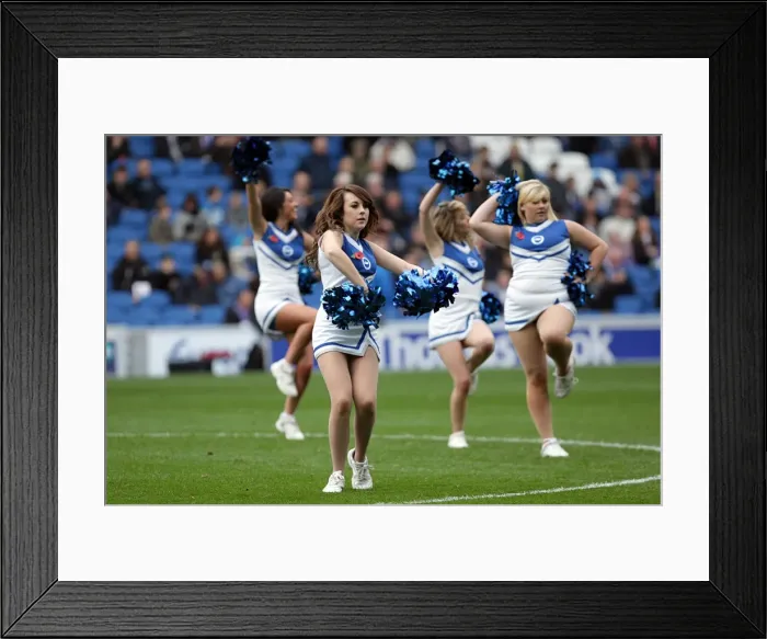 Framed Print : Brighton & Hove Albion vs Barnsley (2011-12): Home Game Highlights Framed Print : Brighton & Hove Albion vs Barnsley (2011-12): Home Game Highlights