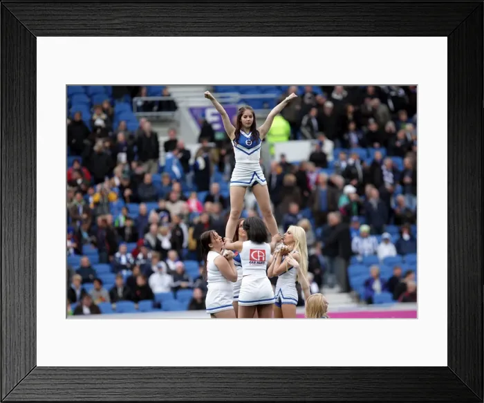 Framed Print : Brighton & Hove Albion vs Barnsley (2011-12 Season: Home Game) Framed Print : Brighton & Hove Albion vs Barnsley (2011-12 Season: Home Game)