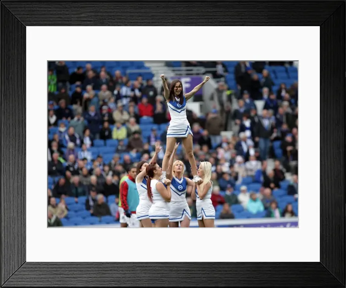 Framed Print : Brighton & Hove Albion vs. Barnsley (2011-12): A Home Game Framed Print : Brighton & Hove Albion vs. Barnsley (2011-12): A Home Game