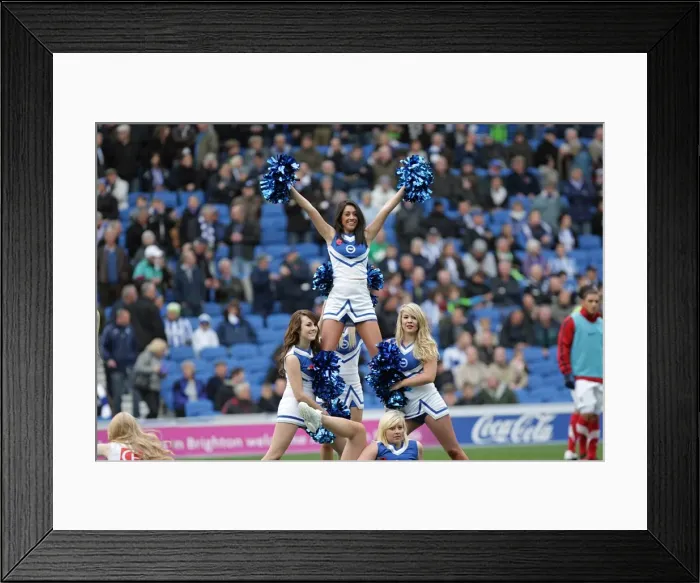 Framed Print : Brighton & Hove Albion vs Barnsley (2011-12): Home Game Highlights Framed Print : Brighton & Hove Albion vs Barnsley (2011-12): Home Game Highlights