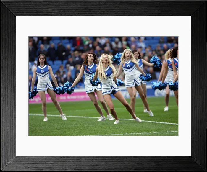 Framed Print : Brighton & Hove Albion vs. Barnsley (2011-12) - Home Game Highlights