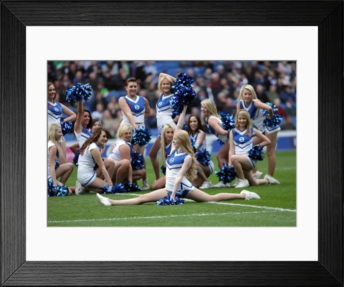 Framed Print : Brighton & Hove Albion vs Barnsley (2011-12): Home Game Highlights
