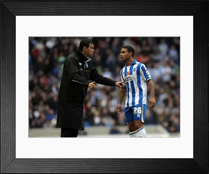 Framed Print : Brighton & Hove Albion vs Barnsley (2011-12): Home Game Highlights