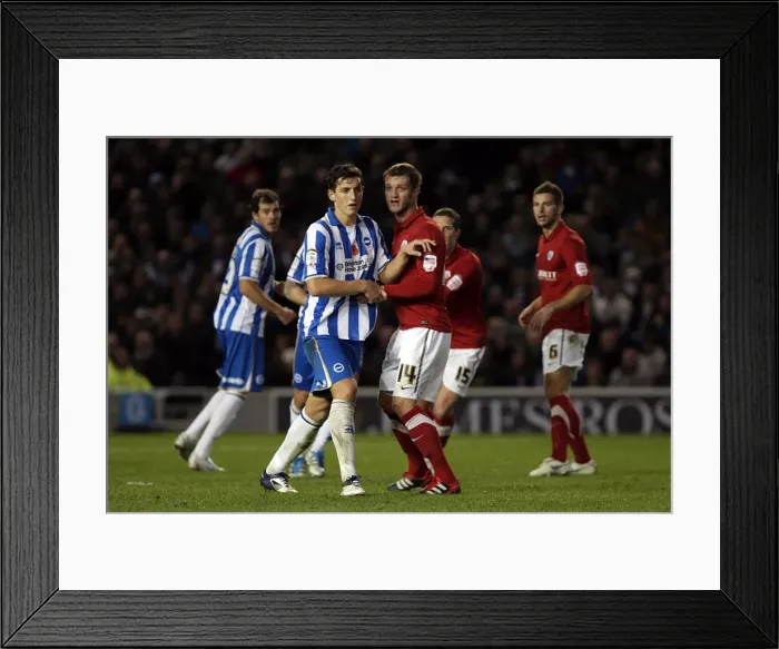 Framed Print : Brighton & Hove Albion vs Barnsley (2011-12): Home Game Highlights