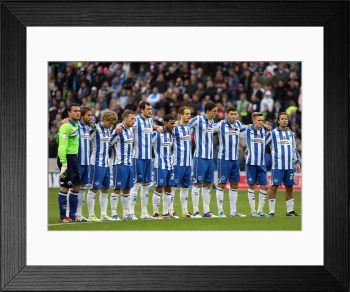 Framed Print : Brighton & Hove Albion vs. Barnsley (2011-12): A Home Victory