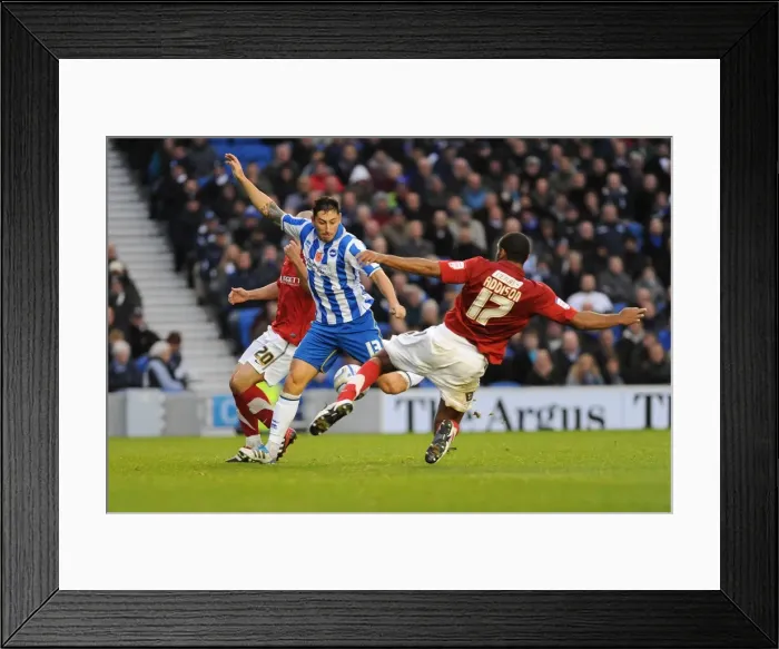 Framed Print : Brighton & Hove Albion vs Barnsley (2011-12): A Successful Home Victory - 06-11-11 Framed Print : Brighton & Hove Albion vs Barnsley (2011-12): A Successful Home Victory - 06-11-11