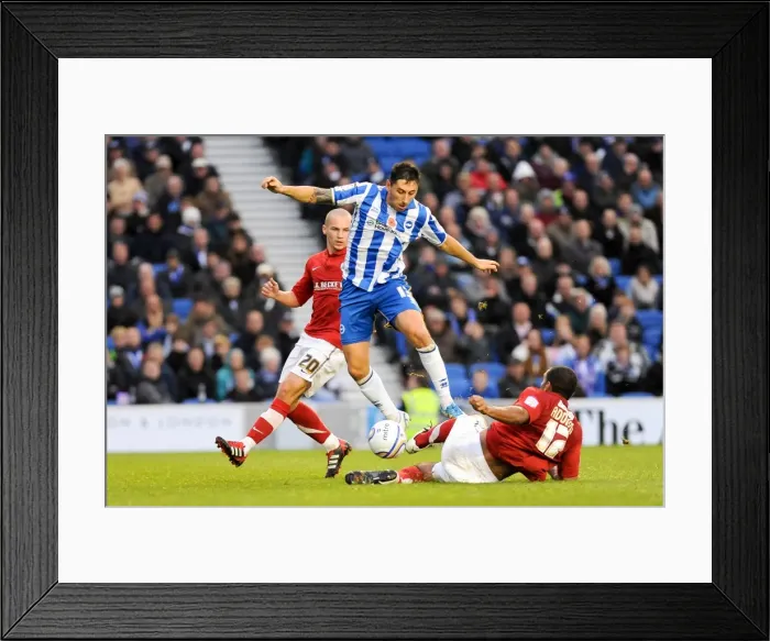 Framed Print : Brighton & Hove Albion vs Barnsley (2011-12): Home Game Highlights