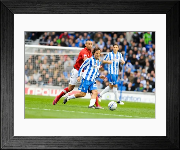 Framed Print : Brighton & Hove Albion vs Barnsley (2011-12): Home Game Highlights