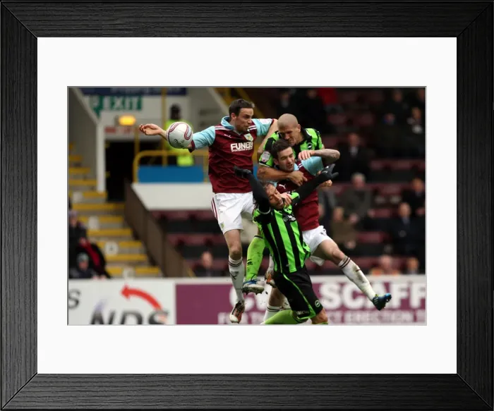 Framed Print : Brighton's El-Abd Goes for Glory: Burnley vs. Brighton & Hove Albion, April 2012 Framed Print : Brighton's El-Abd Goes for Glory: Burnley vs. Brighton & Hove Albion, April 2012