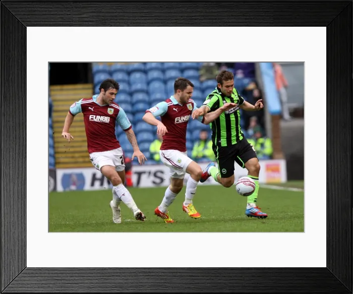 Framed Print : Joe Mattock in Action: Burnley vs. Brighton & Hove Albion, Npower Championship, Turf Moor, 6th April 2012 Framed Print : Joe Mattock in Action: Burnley vs. Brighton & Hove Albion, Npower Championship, Turf Moor, 6th April 2012
