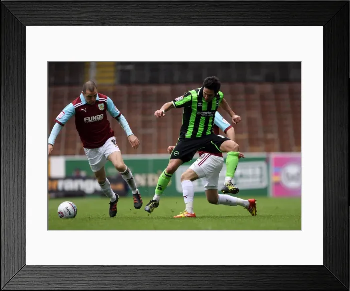 Framed Print : Vicente Rodriguez of Brighton & Hove Albion in Action against Burnley, Npower Championship, April 6, 2012 Framed Print : Vicente Rodriguez of Brighton & Hove Albion in Action against Burnley, Npower Championship, April 6, 2012
