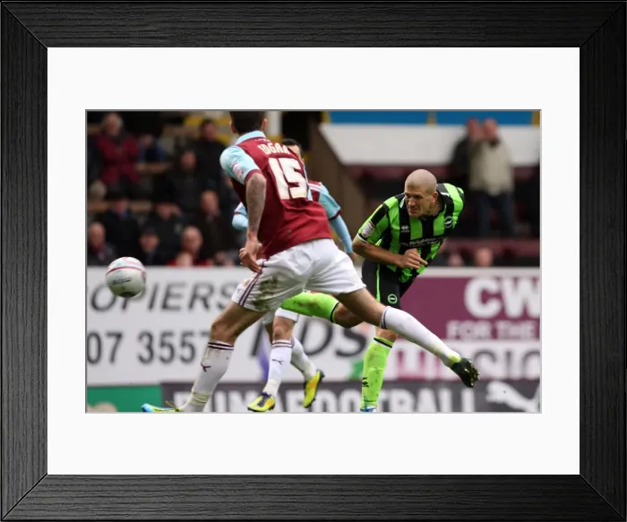 Framed Print : Brighton & Hove Albion's Adam El-Abd Focuses in Burnley Match, April 2012 Framed Print : Brighton & Hove Albion's Adam El-Abd Focuses in Burnley Match, April 2012