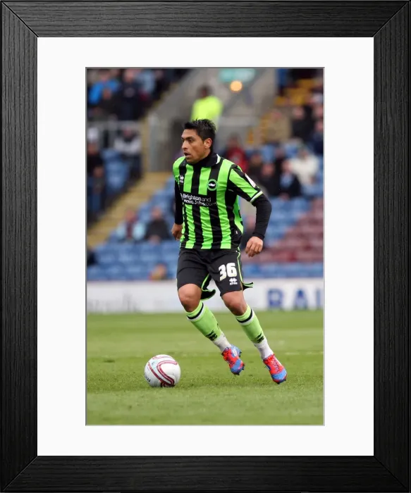 Framed Print : Gonzalo Jara Reyes of Brighton & Hove Albion in Action against Burnley, NPower Championship, April 6, 2012