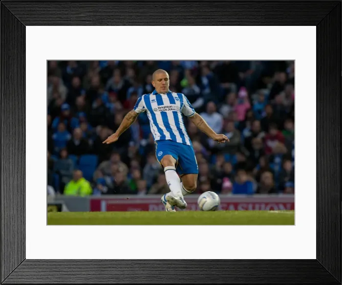 Framed Print : Brighton & Hove Albion vs Reading: Adam El-Abd Focused Amex Stadium, April 10, 2012 Framed Print : Brighton & Hove Albion vs Reading: Adam El-Abd Focused Amex Stadium, April 10, 2012