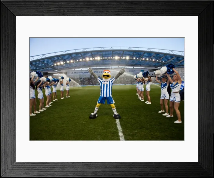 Framed Print : Brighton & Hove Albion vs. Reading (10-04-2012): A Memorable Game from the 2011-12 Season Framed Print : Brighton & Hove Albion vs. Reading (10-04-2012): A Memorable Game from the 2011-12 Season